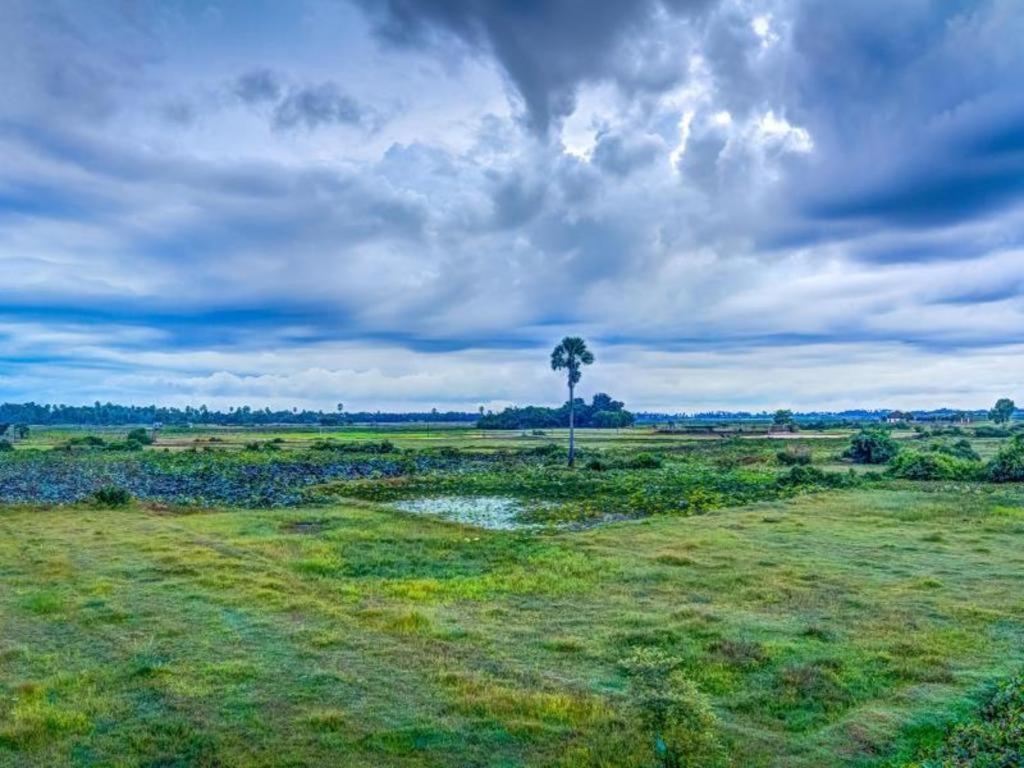 סיאם ריפ Ry'S Lotus Resort D'Angkor מראה חיצוני תמונה
