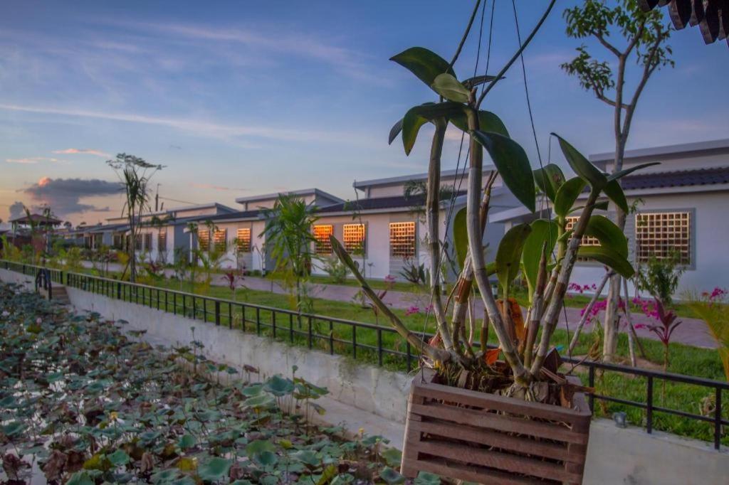 סיאם ריפ Ry'S Lotus Resort D'Angkor מראה חיצוני תמונה