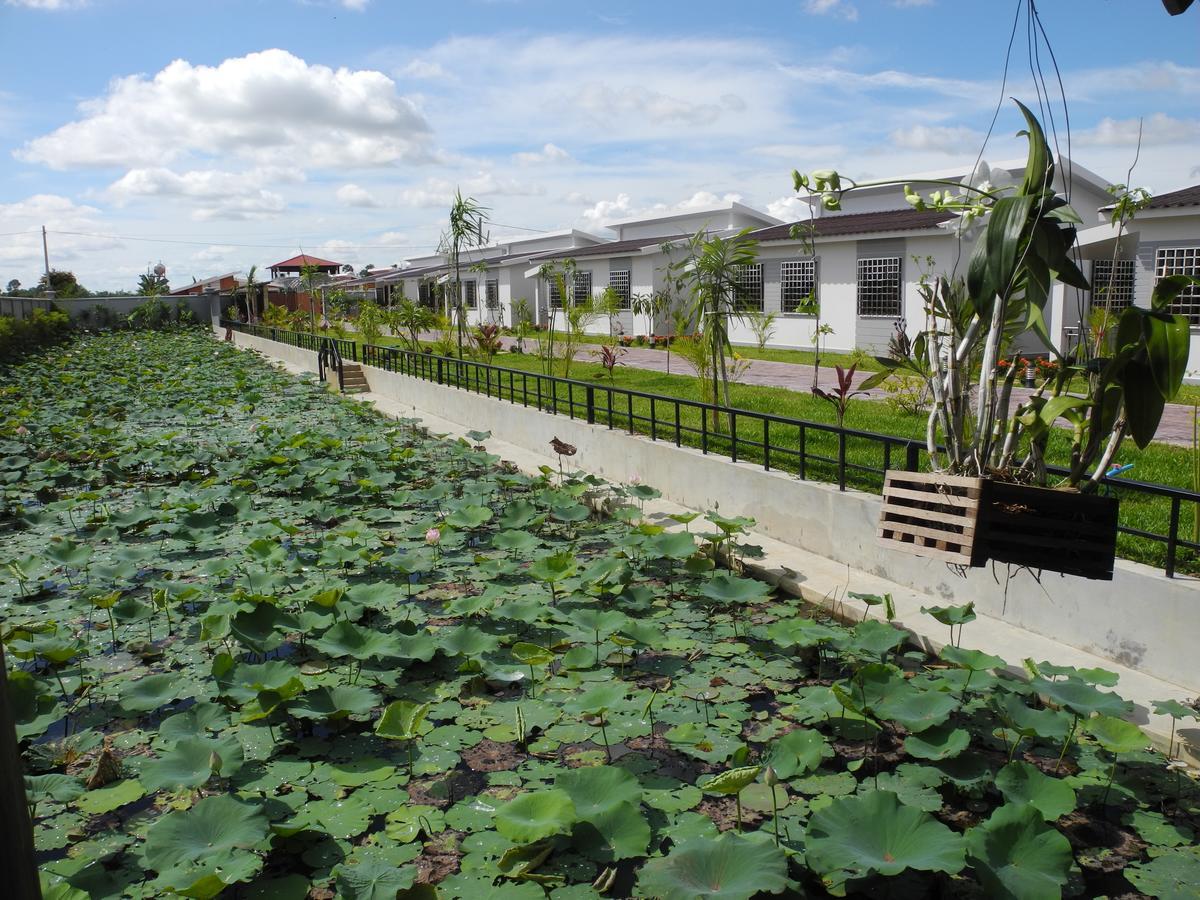 סיאם ריפ Ry'S Lotus Resort D'Angkor מראה חיצוני תמונה